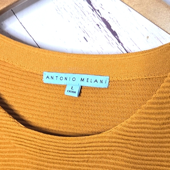 Antonio Melani Golden Orange Ribbed Top - Picture 4 of 4